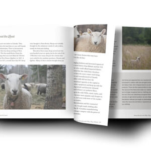 Anna Hunter: Sheep, Shepherd and Land. Stories of Sheep Farmers Reinvigorating Canadian Wool – Bild 5
