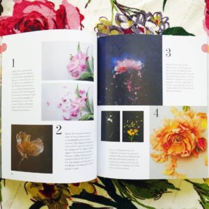 Botanica – Bild 8