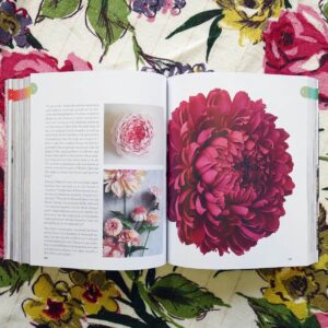 Botanica – Bild 4