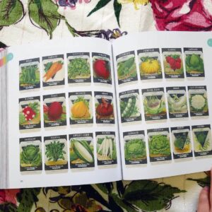 Botanica – Bild 3