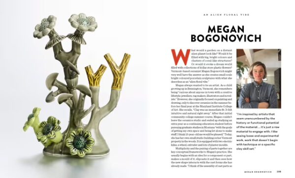 Ceramics: Profiles of Potters and Artisans